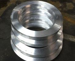 Stainless Steel 316/316L Rings Dealer in India