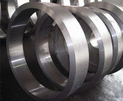 Stainless Steel 317 Rings Stockist in India